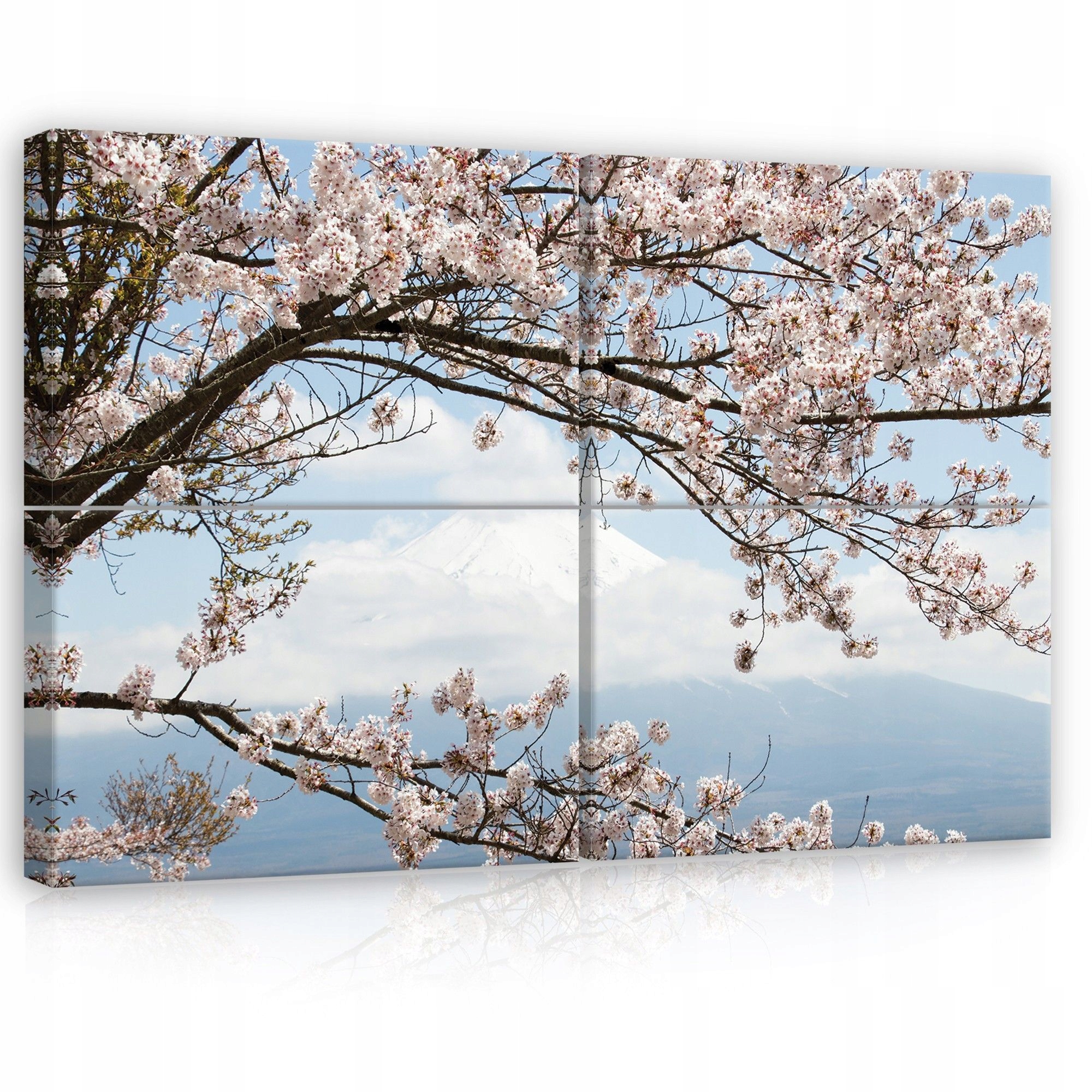 Obraz 120x80 Sakura kvetení třešní Fuji Japonsko jaro krajina příroda
