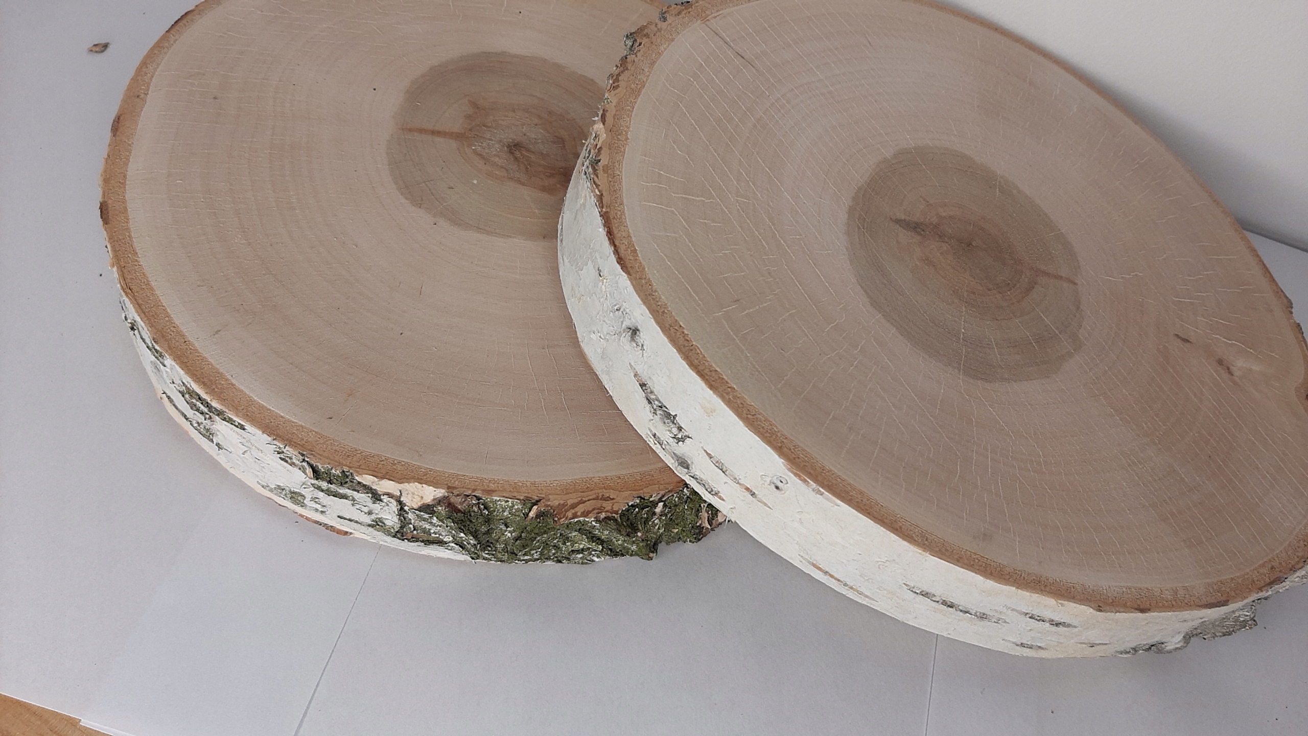 

Plaster krążek drewna brzoza 15-18cm szlif
