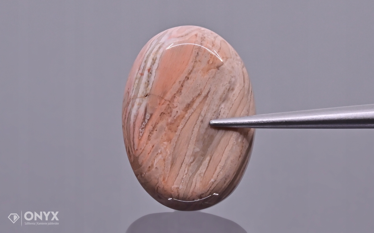 Zkamenělá palma nízký kabošon ovál 18x13 mm