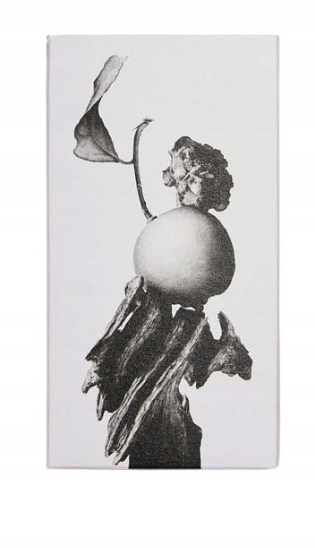 A284-2 PERFUMY męskie ZARA VIBRANT LEATHER OUD 100ml NEW Stan opakowania oryginalne