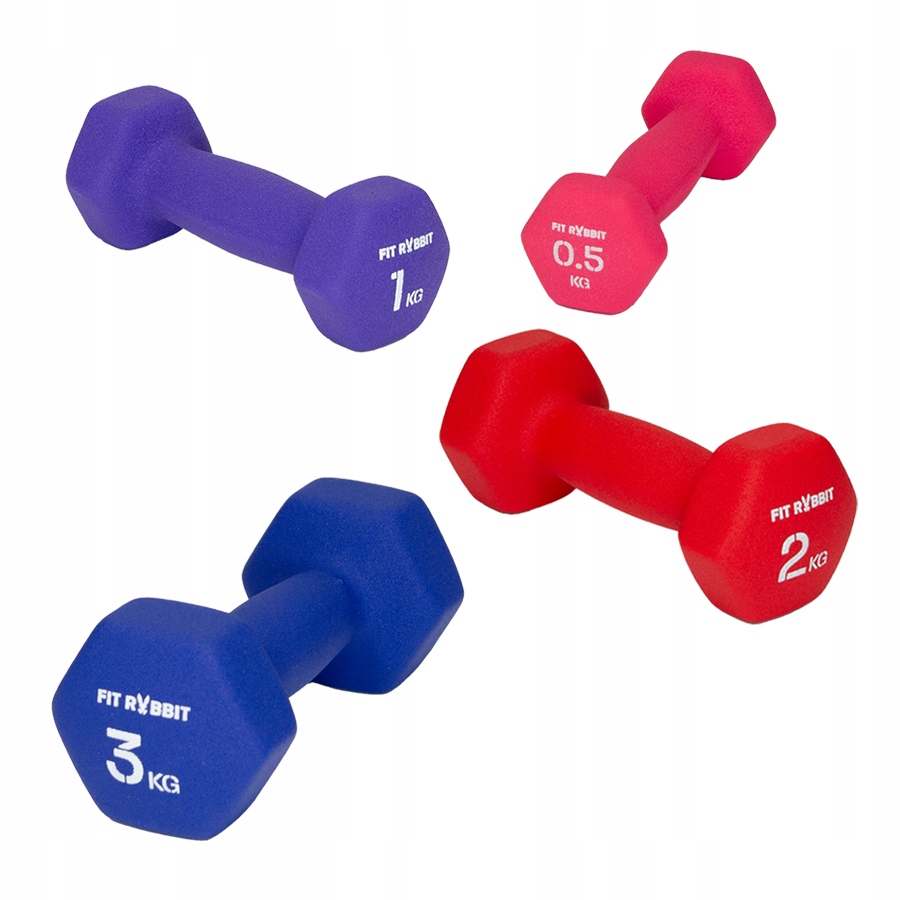 Fit-Rabbit Zestaw Hantli Winylowych HEX 2x2 kg Rodzaj żeliwne