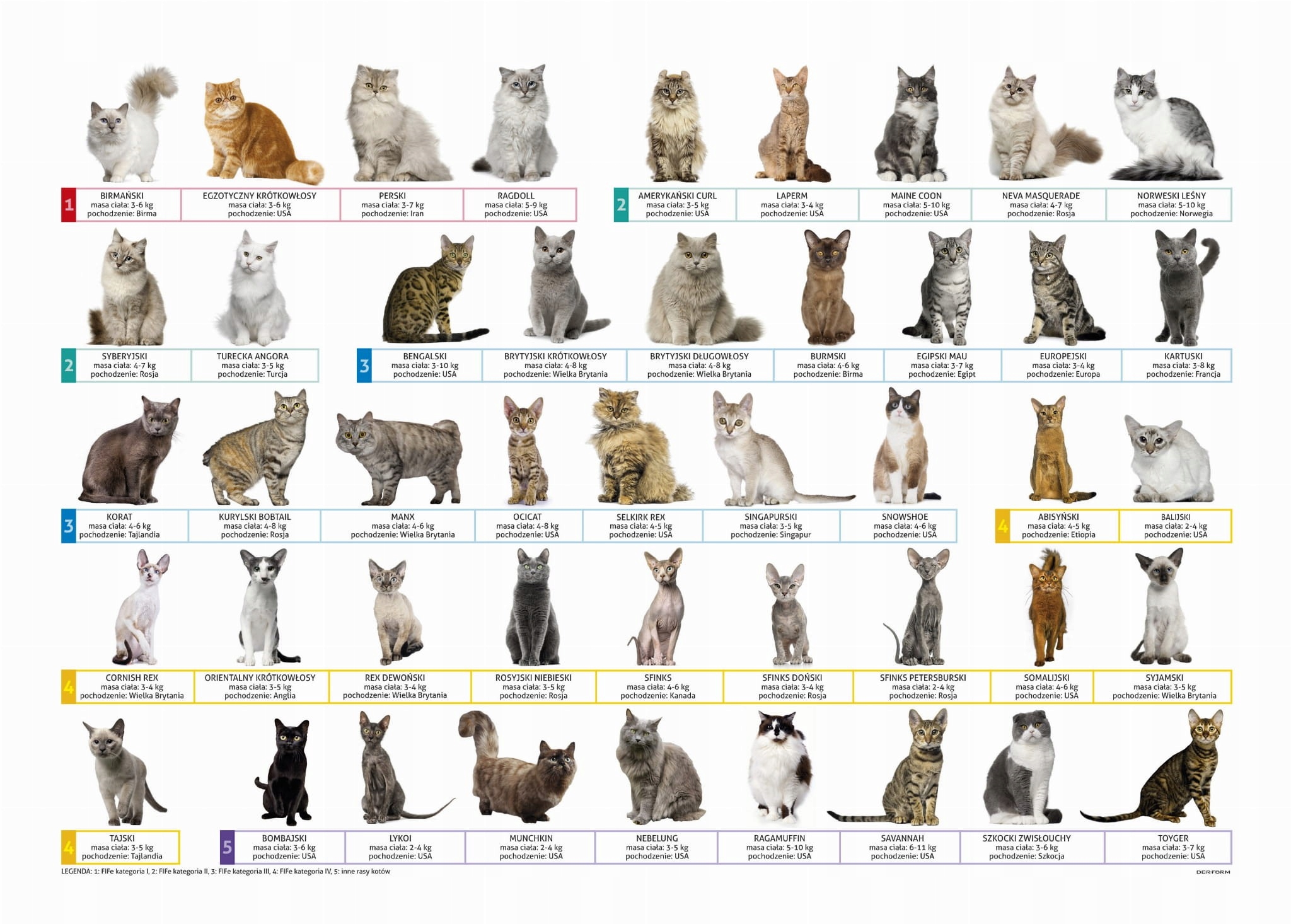 DERFORM PODKŁADKA NA BIURKO DWUSTRONNA KOTY KOTKI