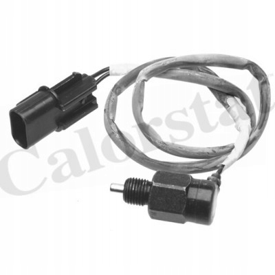 CALORSTAT by Vernet RS5605 Producent części Calorstat By Vernet