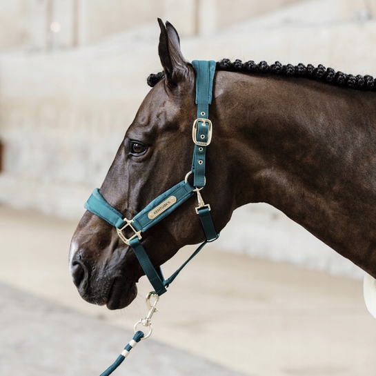 Uwiąz Basic emerald 2m Kentucky