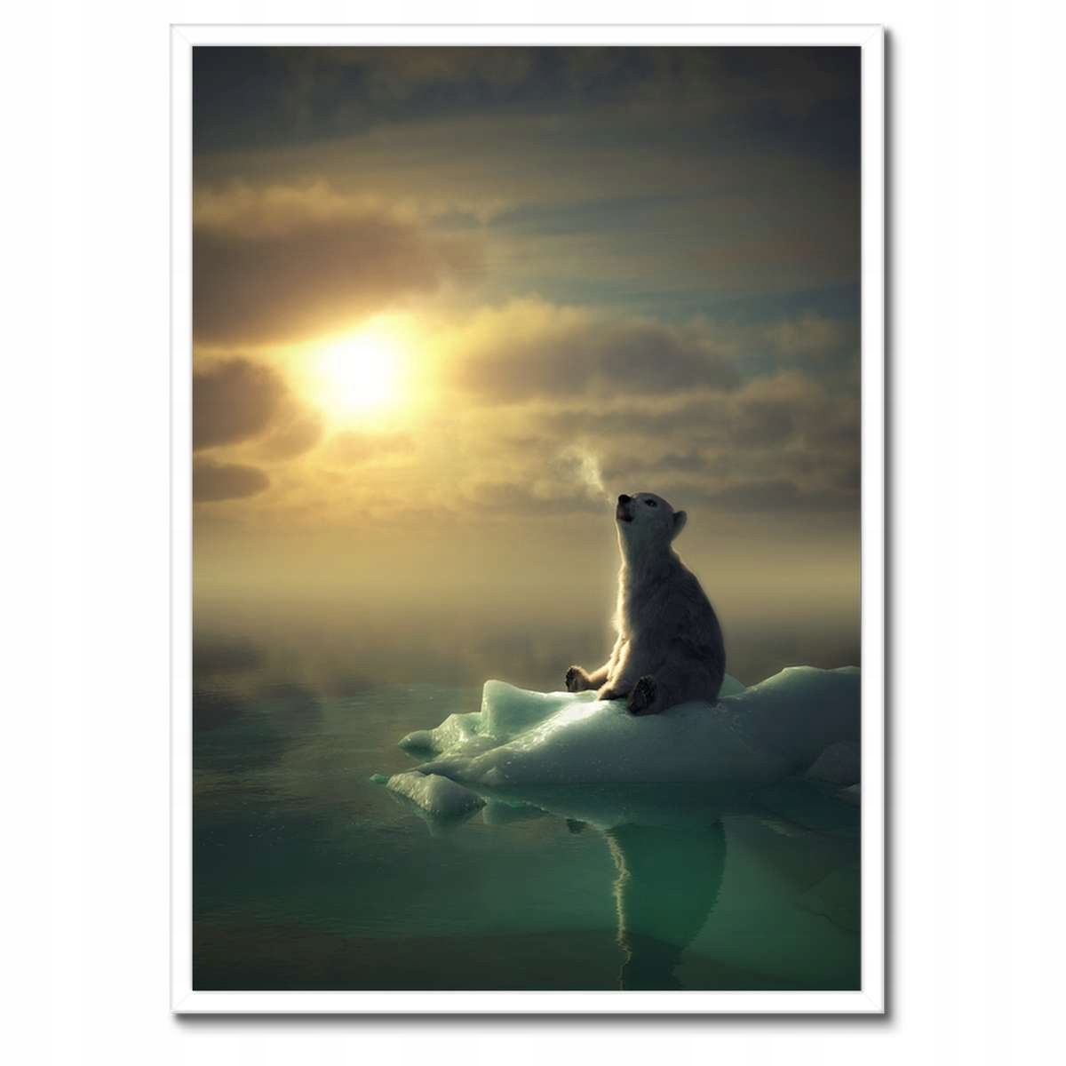 Plakáty v rámu 50x70 Zvířata Zvířátka