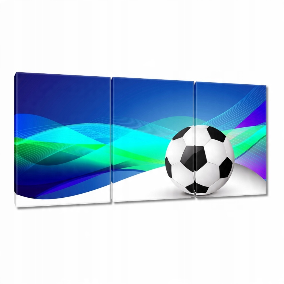 

Obrazy 120x60 Piłka nożna Football Noga