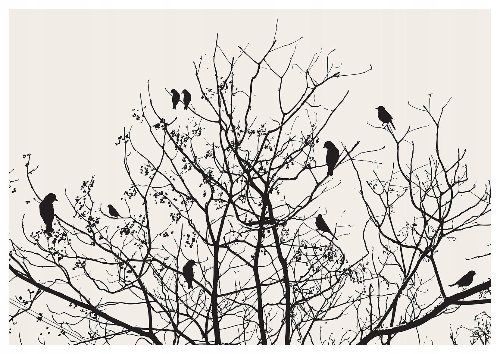 Tapeta Vtáky zima grafika príroda minimalizmus kontrast vinyl 368x280 lepidlo