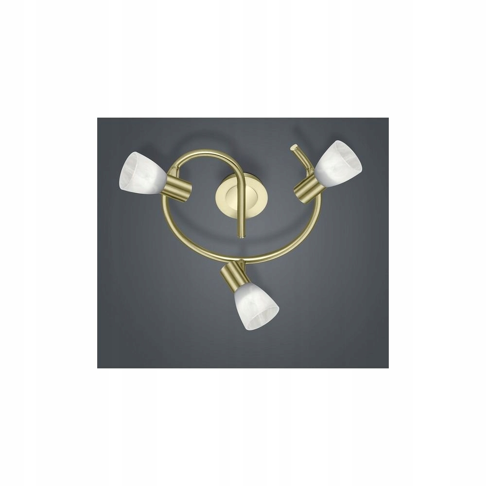 Lampa reflektor spot Levisto 871090308 Trio