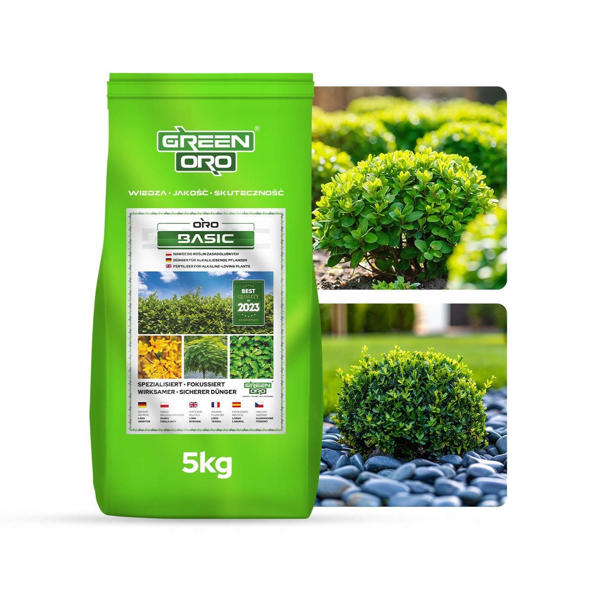 Nawóz do Bukszpanów Bukszpan nawóz Długo Działający 100dni 5kg Oro Basic
