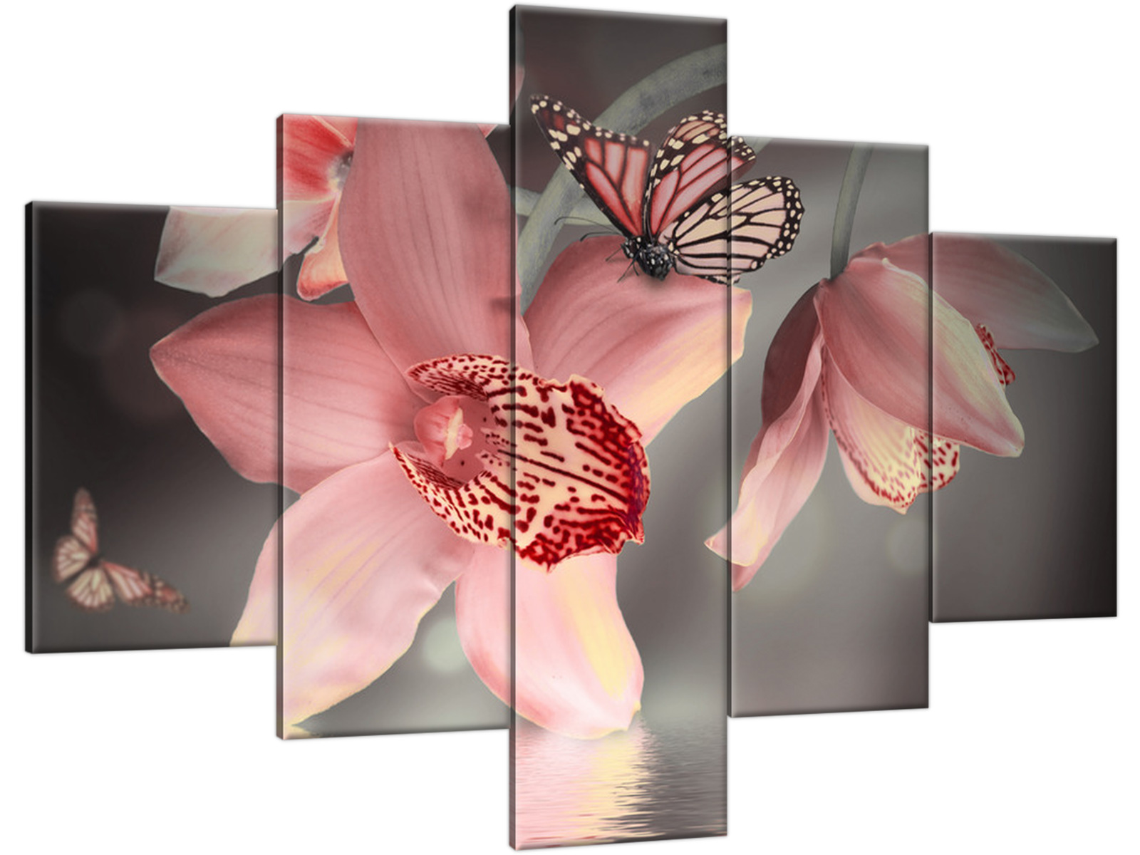 

Obraz 100x70 Motylek Storczyk do Sypialni +Szablon