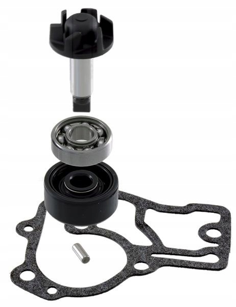 Zestaw Naprawczy Pompy Wody Moto Yamaha Neo's 4T RMS100110560