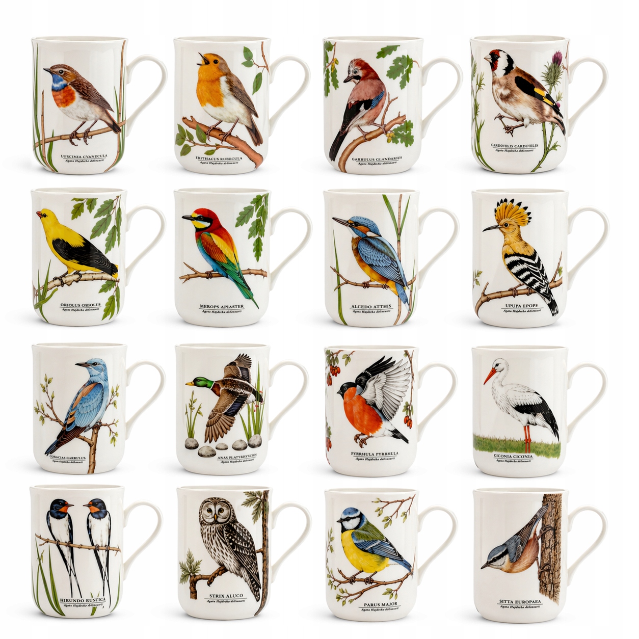 16 x Porcelánový hrnček kolekcia Vtáky Poľský" 300 ml šálky komplet sada