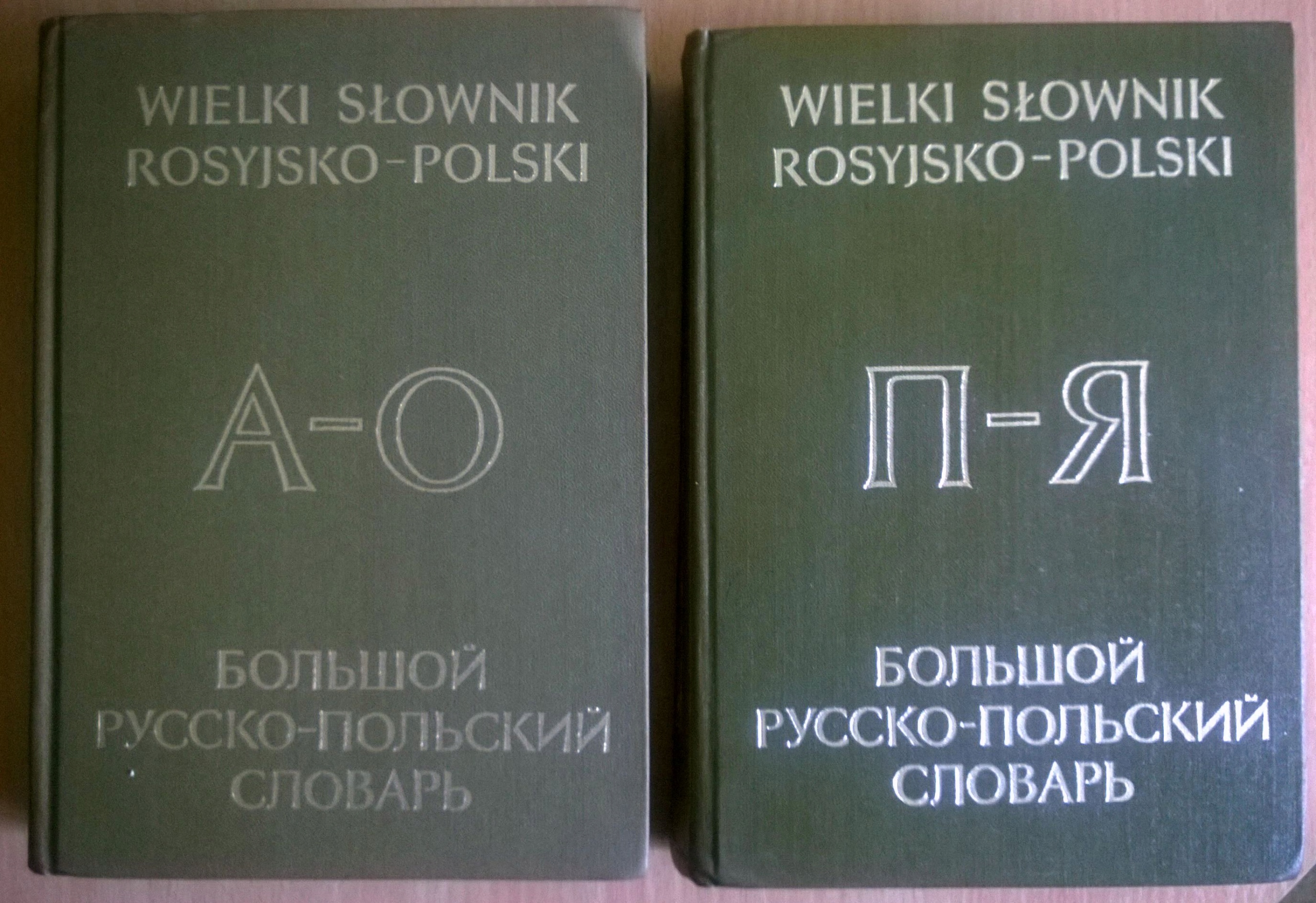 Какое польское слово. Русско польский словарь. Словарь Польши. Русско-польский словарь книга. Русско польский польско русский карманный словарь.