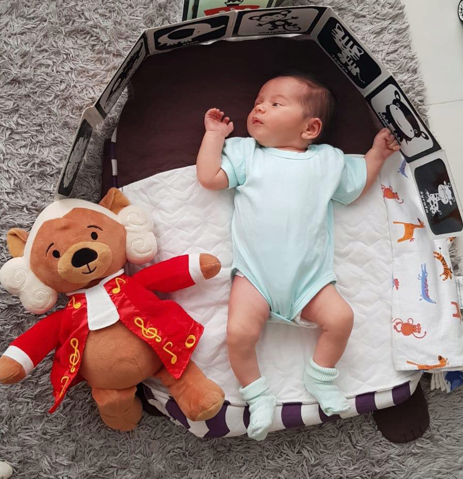 Zabawka grająca muzykę Mozarta - Miś Amadeusz Płeć chłopcy dziewczynki