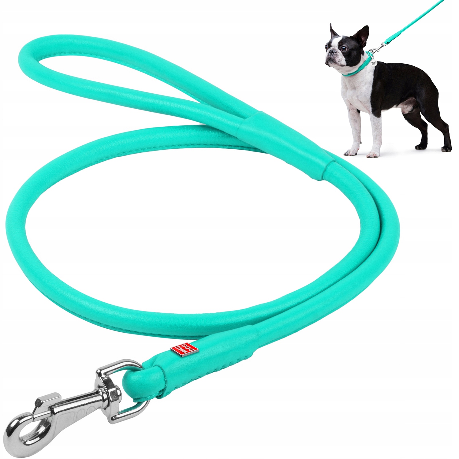 Levně Vodítko pro psa, kulaté, zářivé, módní, mentolové, 183 cm, 13 mm