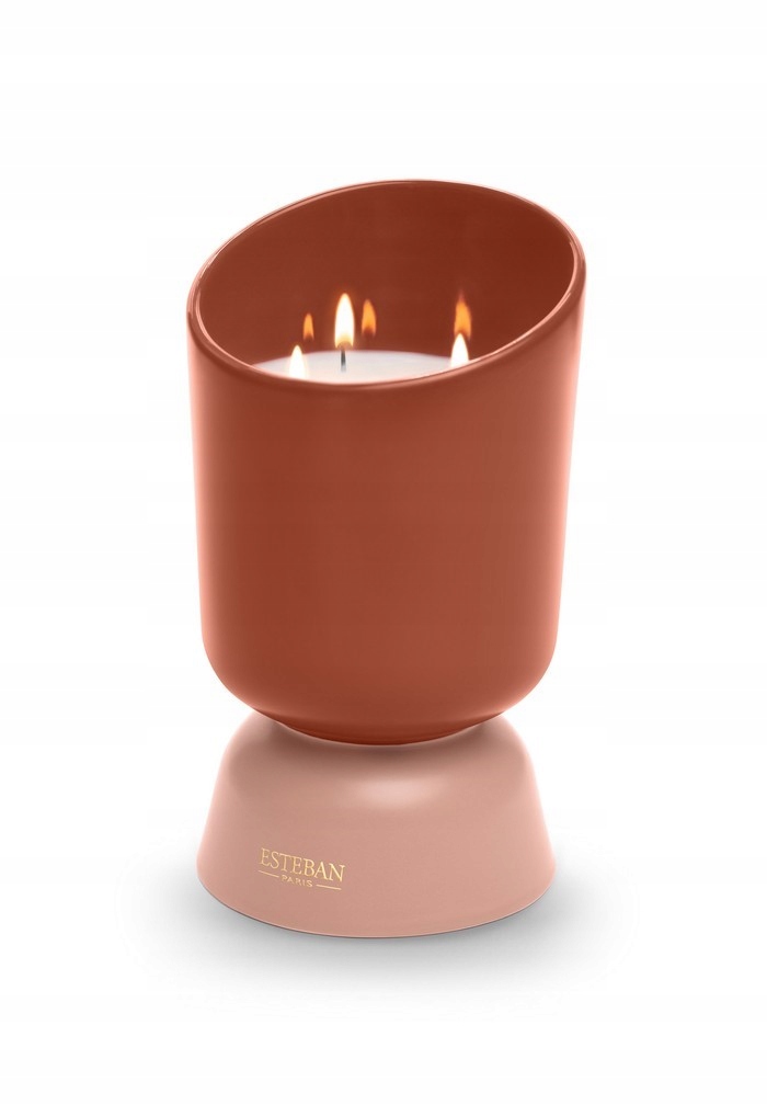 Esteban Paris Vonná sviečka Iconic 700 g Vôňa Teck and Tonka