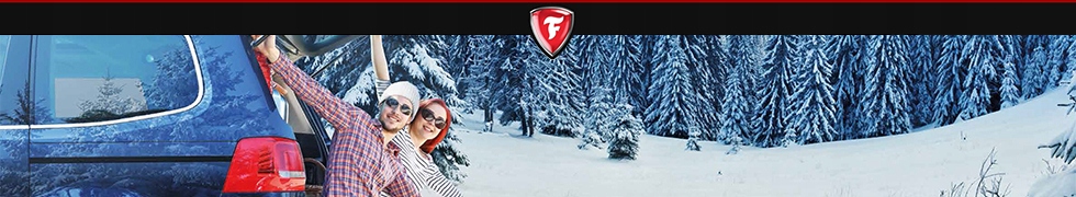 1x Firestone Winterhawk 4 215/50R17 95V XL Kod producenta 18091