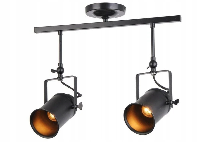 Stropní svítidlo retro industriální černá dvojitá, nastavitelná, 55 cm Reality