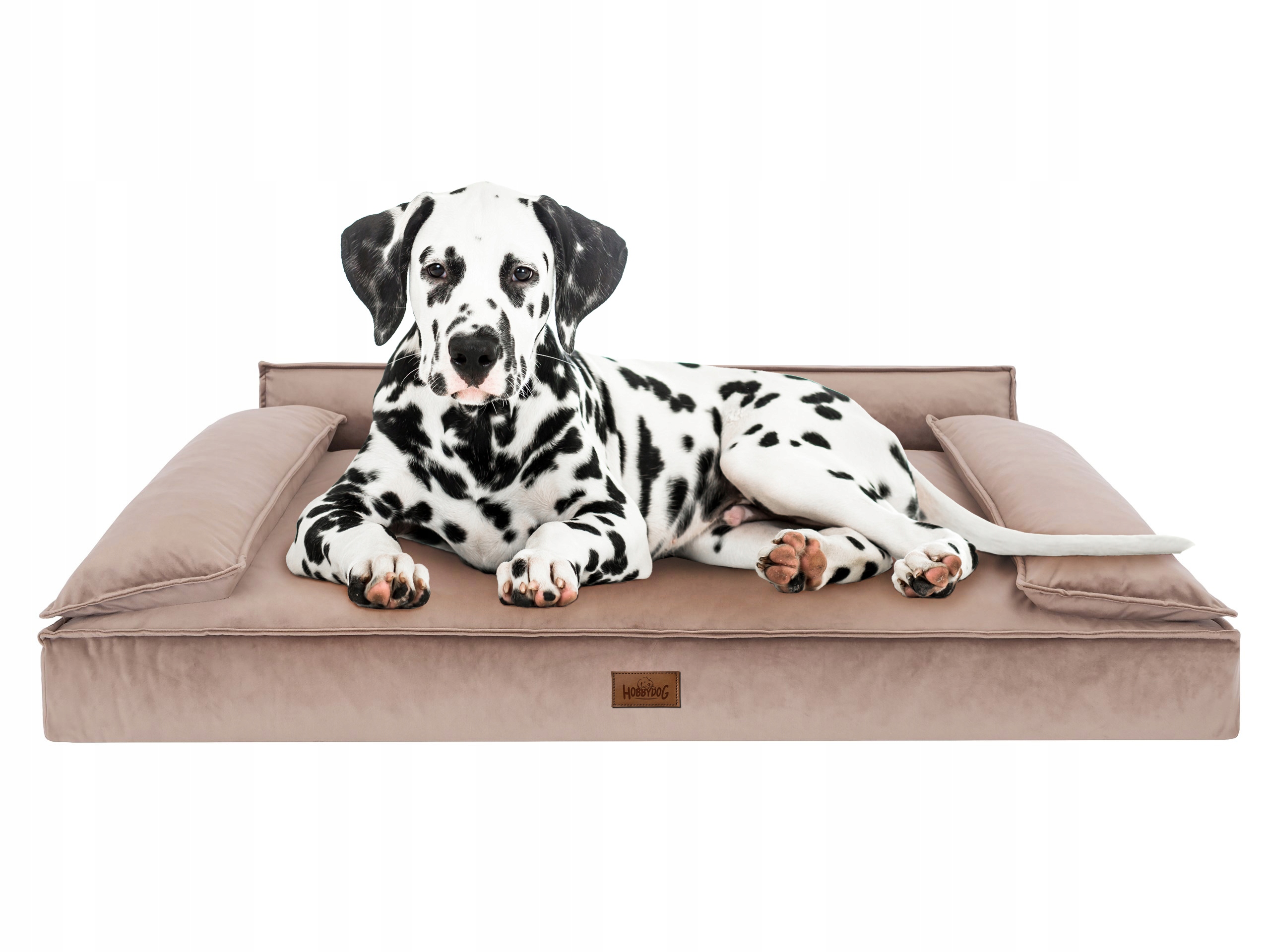 Levně Pohodlný Pelíšek Pelíšek pro psa XXL 77x120 cm Béžová s pratelným potahem