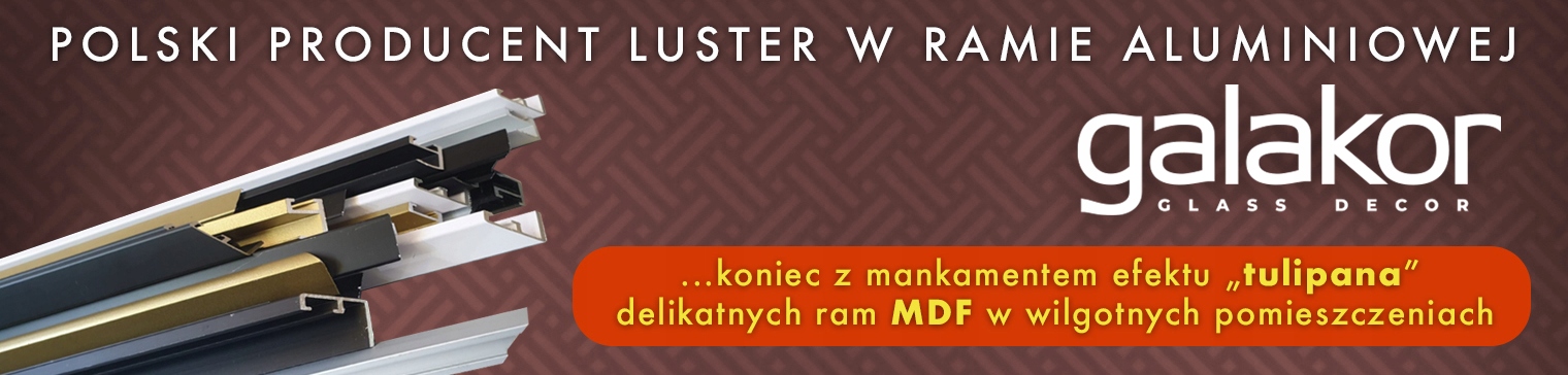 Lustro w Czarnej Ramie Aluminiowej Wąska K 170X50 Materiał ramy metal