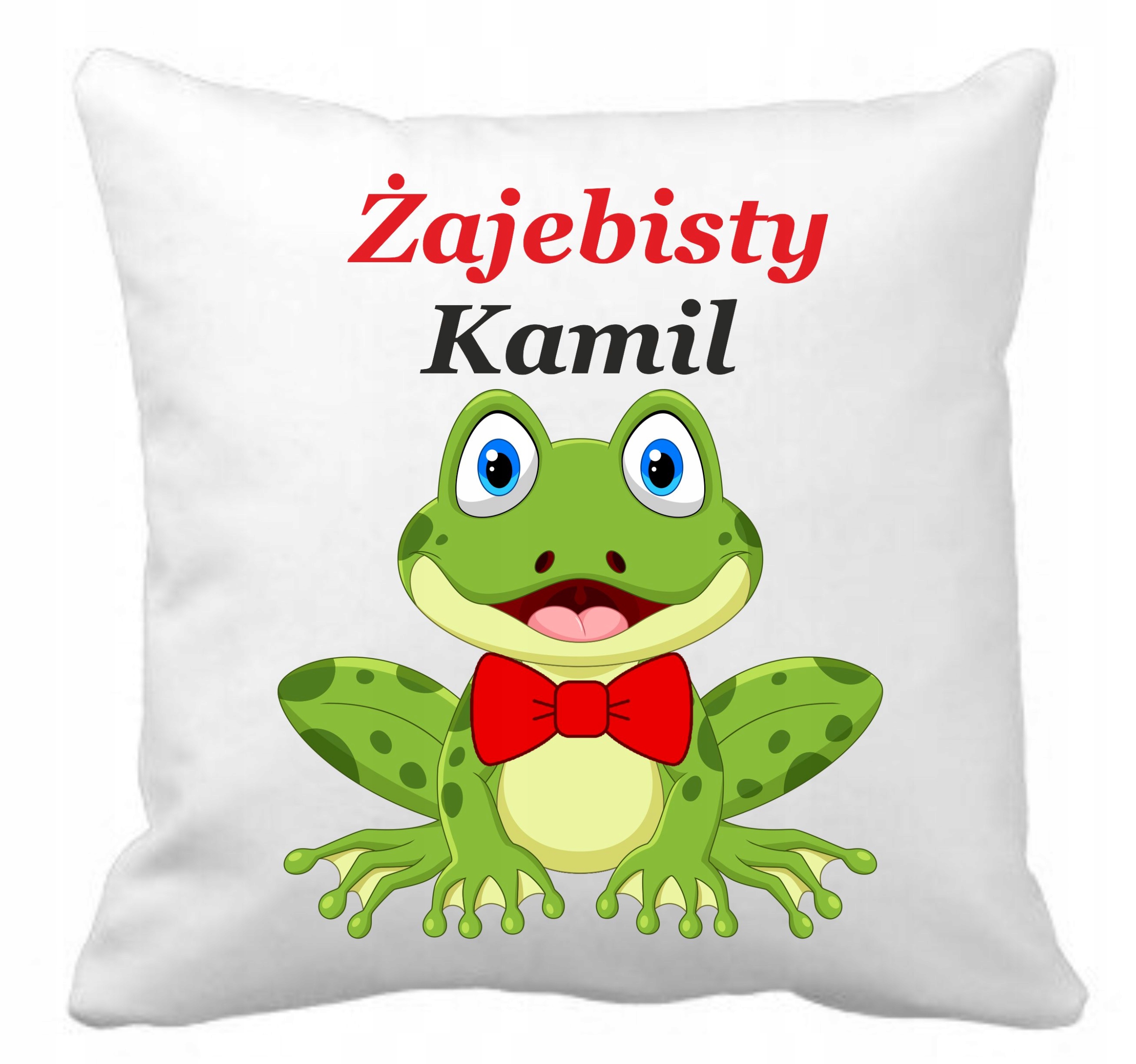 

Poduszka Na Dzień Chłopaka Okazjonalna