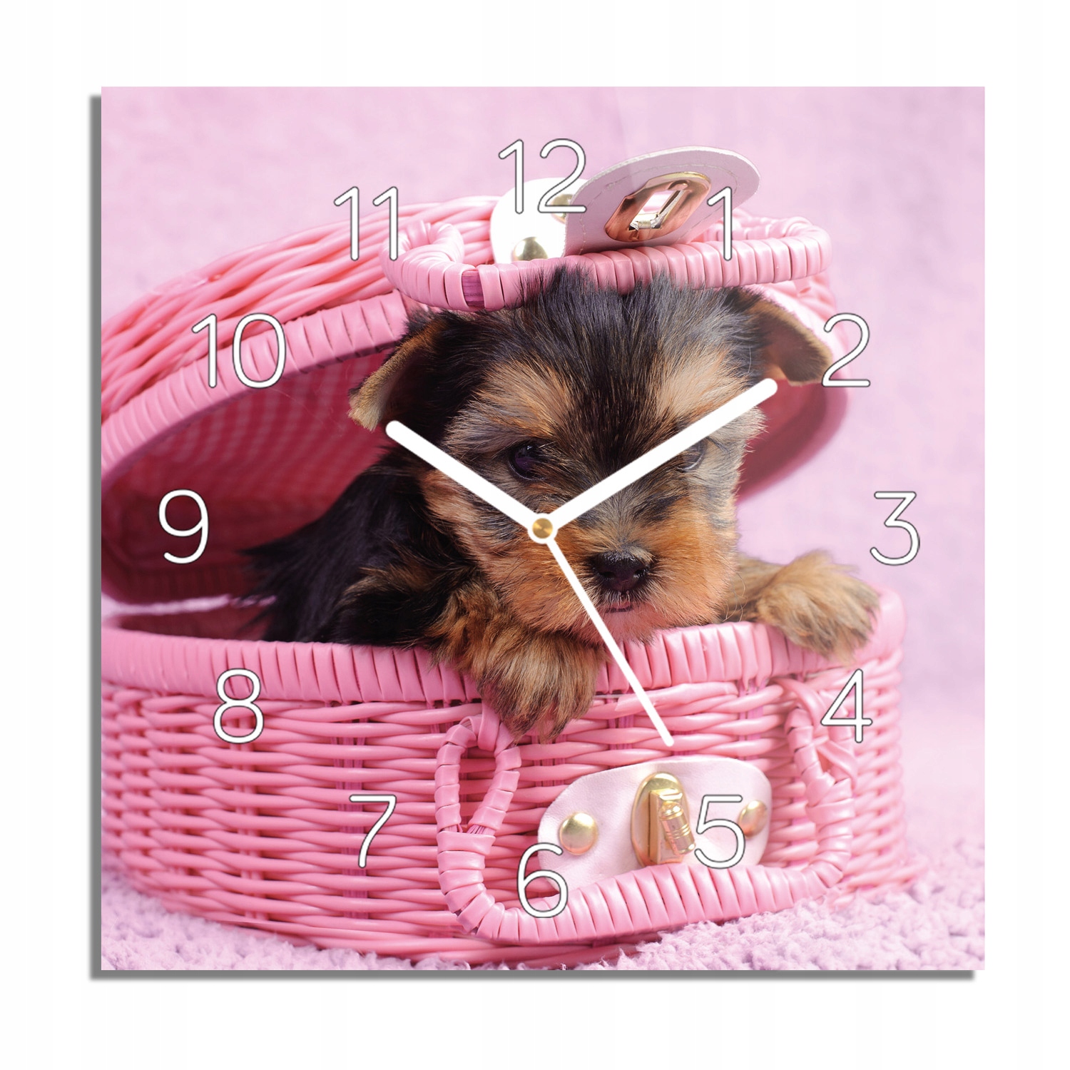 

Szczeniak york kufer zegar szklany do kuchni 30x30