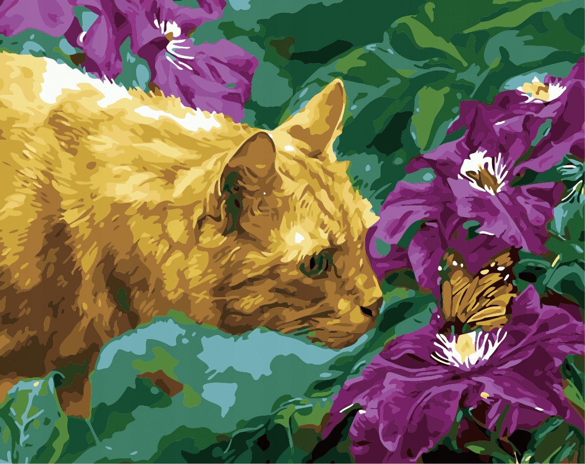 Malování podle čísel Pojďme seznámit 40x50cm