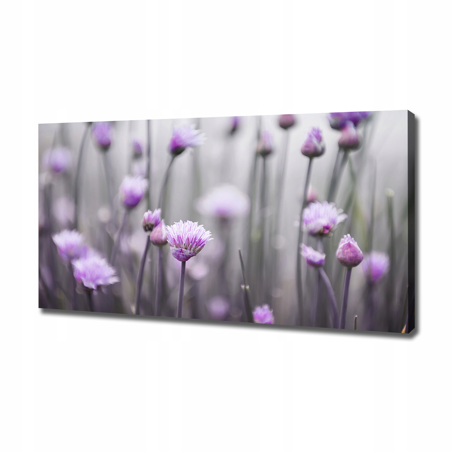

Foto obraz na płótnie Kwiaty szczypiorku 120x60 cm