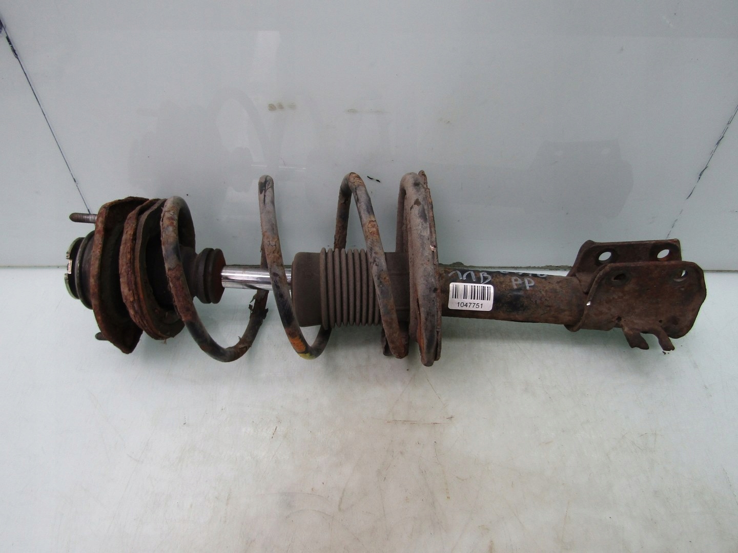 SEICENTO 1.1 99R AMORTYZATOR PRAWY PRZÓD PRZEDNI SPRĘŻYNA PRAWA PRZEDNIA