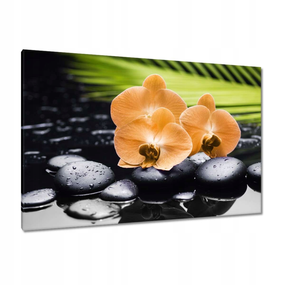 Obrazy 120x80 Oranžové orchideje