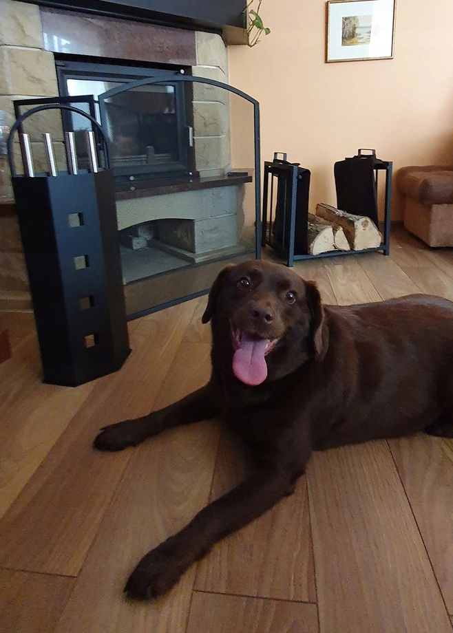 Przybory Kominkowe Akcesoria do Pieca Kominka 5w1 Kod producenta 8784