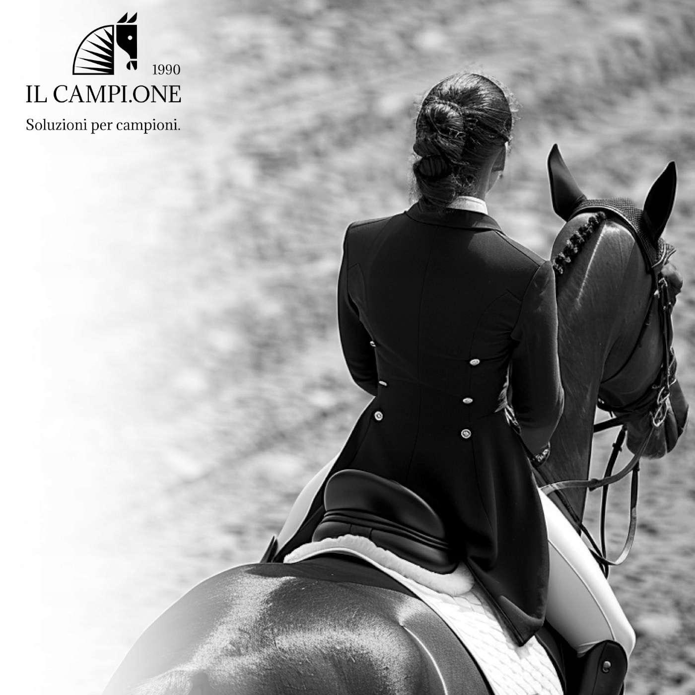 Musli Niskoenergetyczne Budujące Mięśnie Pasza Dla Konia IL CAMPIONE 245p Kod producenta IL-245P-20K