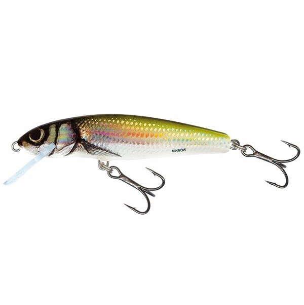 Wobler Salmo Minnow 5cm 3g Fl Holo Bleak