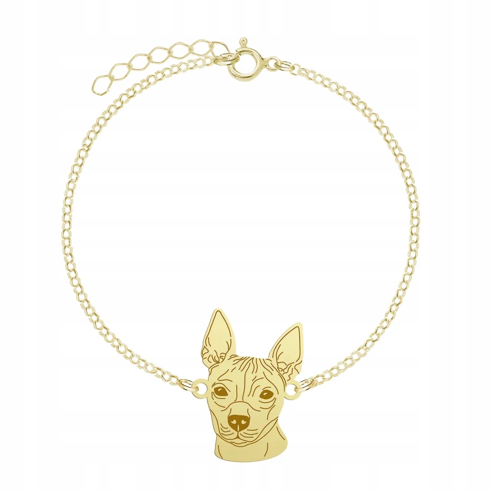 Zlatý náramek se psem Americký bezsrstý teriér 925 Řetízek Gravírování