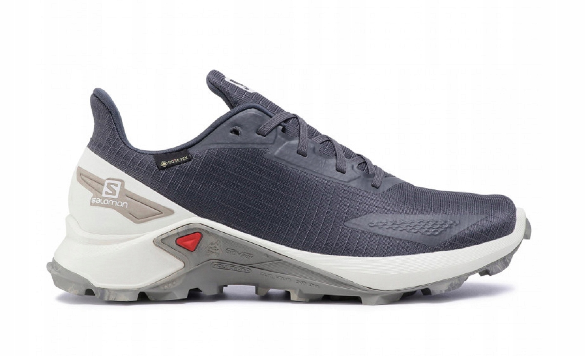 

Salomon Alphacross Blast Gtx