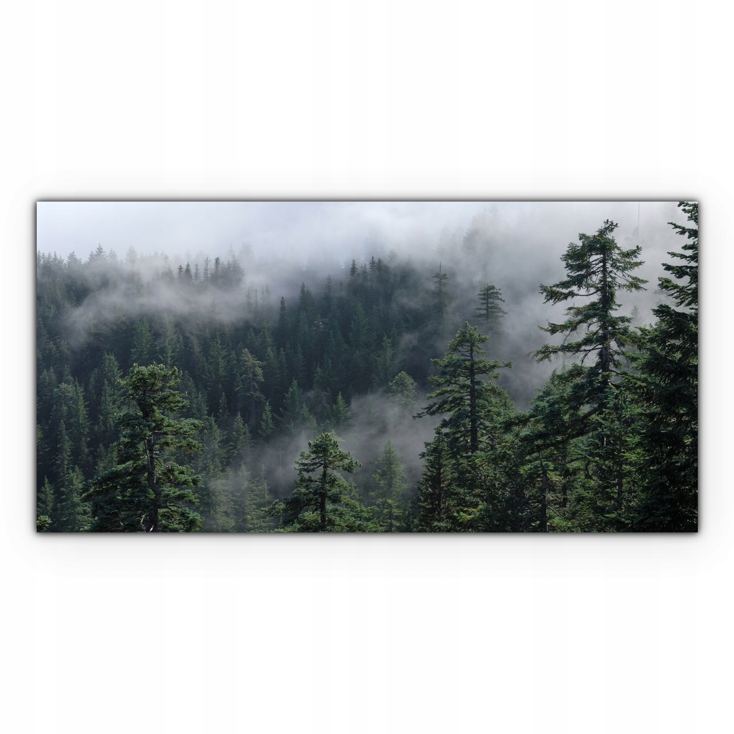 

Canvas na ramie ścienny 120x60 Mgła Las Krajobraz