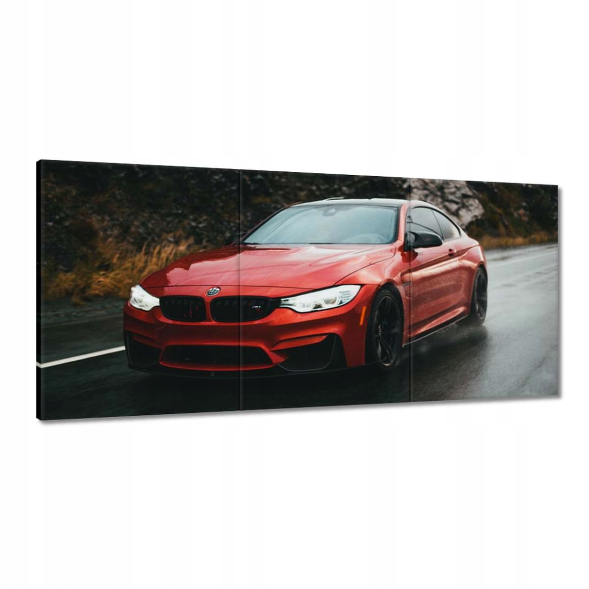 Obrazy 210x100 Červené Bmw Auto