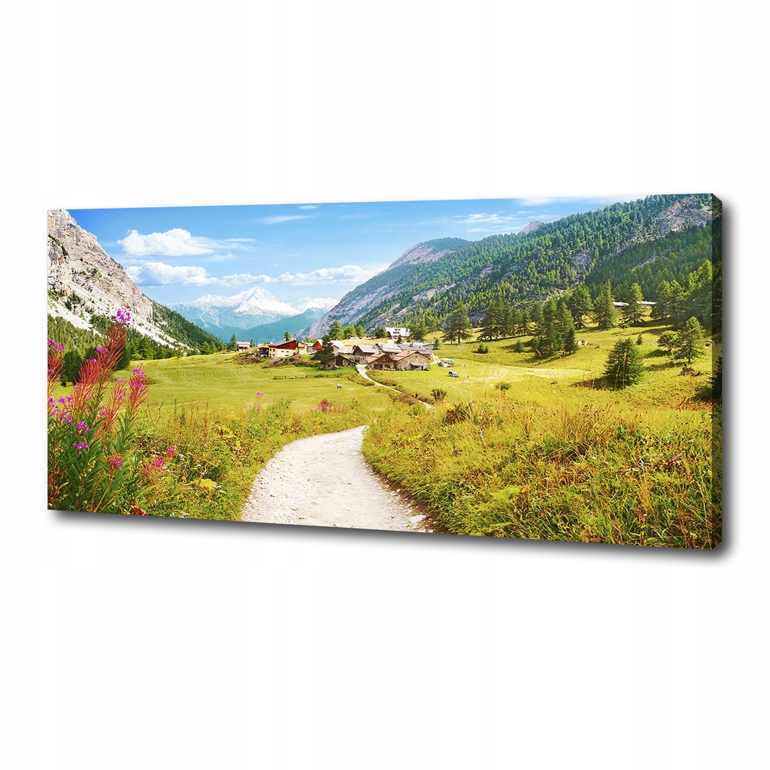 

Foto obraz na płótnie Pastwisko w Alpach 125x50 cm