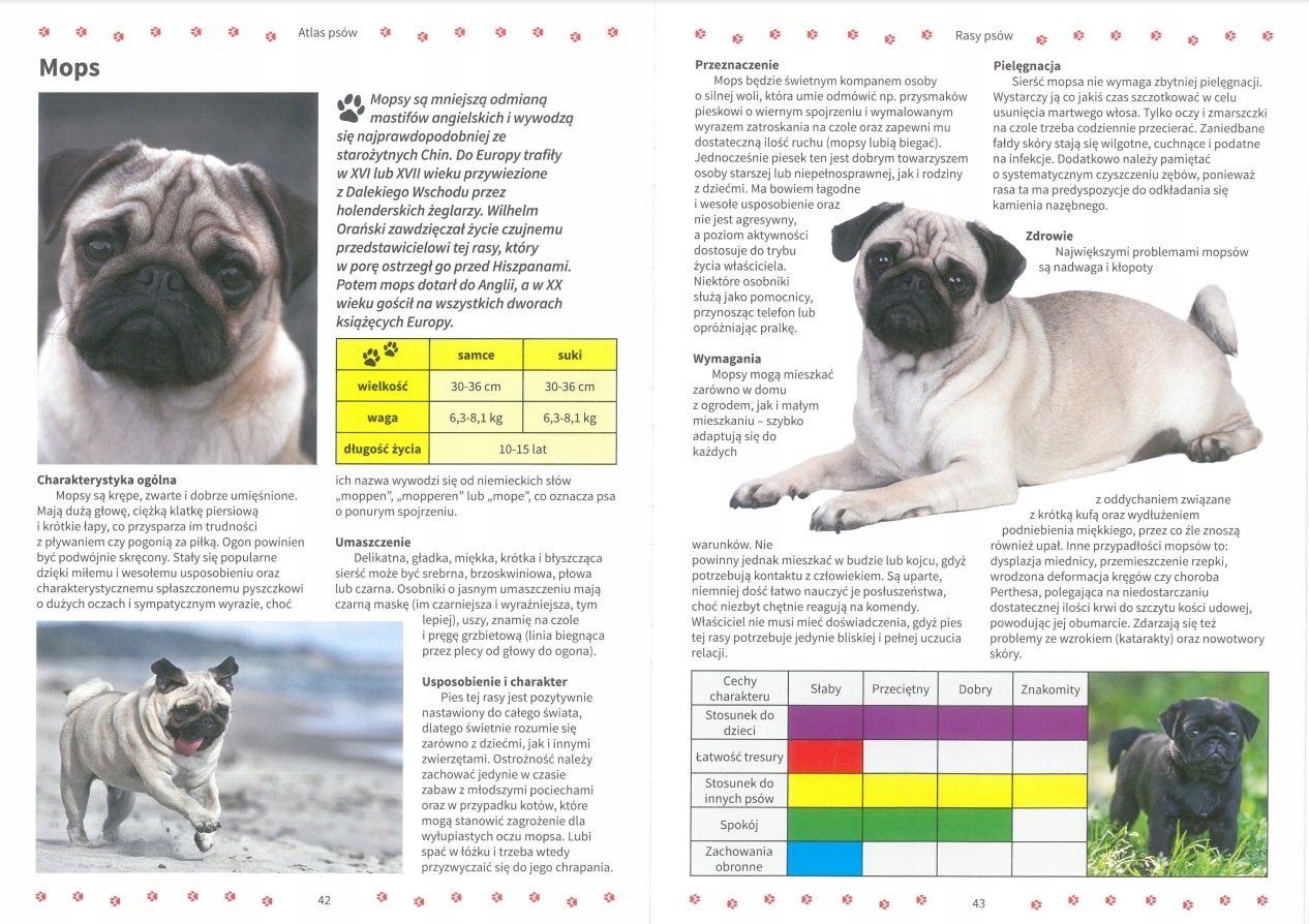 ATLAS PSÓW RASY PIELĘGNACJA ODŻYWIANIE ALBUM TWARDA Nośnik książka papierowa