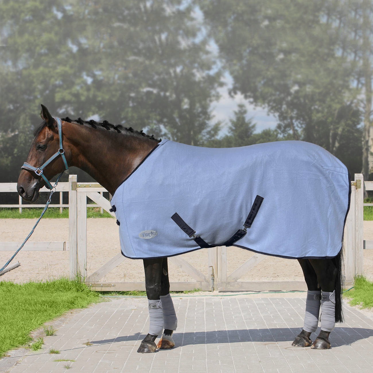 Derka York Ekona r. 145 cm