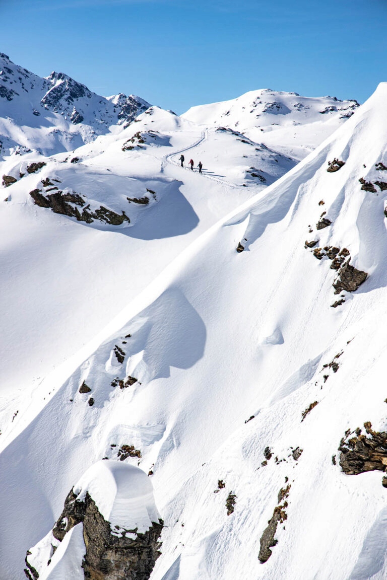 Narty skiturowe 160 cm MAJESTY Superwolf Carbon Kolor dominujący niebieski