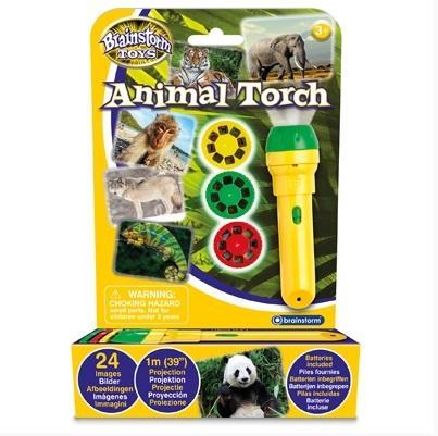 LATARKA I PROJEKTOR - DZIKIE ZWIERZĘTA, BRAINSTORM