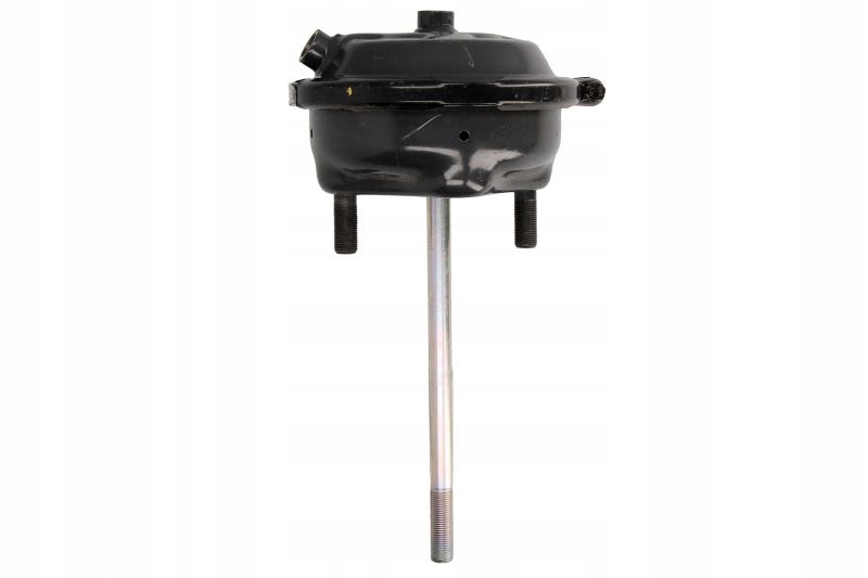 Тормозной цилиндр WABCO 4231062070