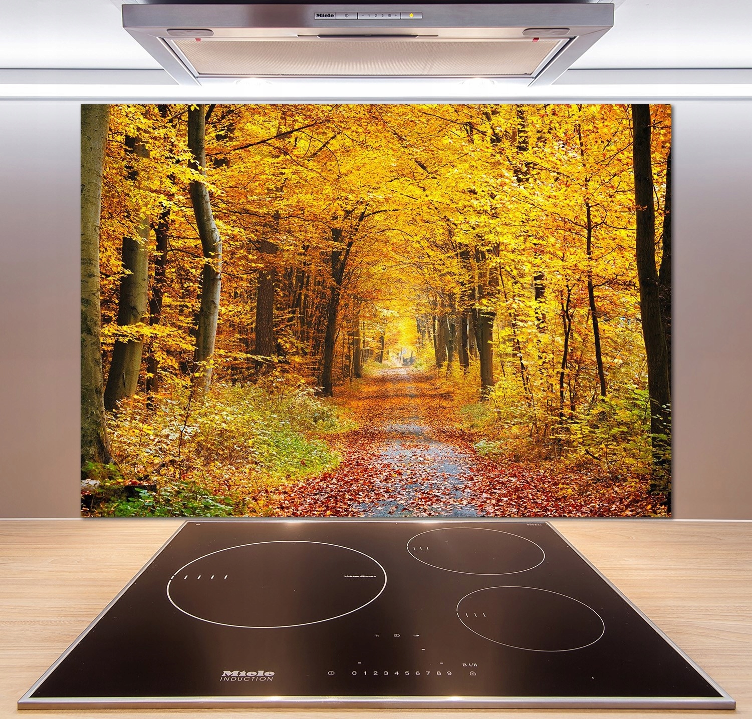 

Panel dekor szkło Las jesienią 100x70 cm + Klej