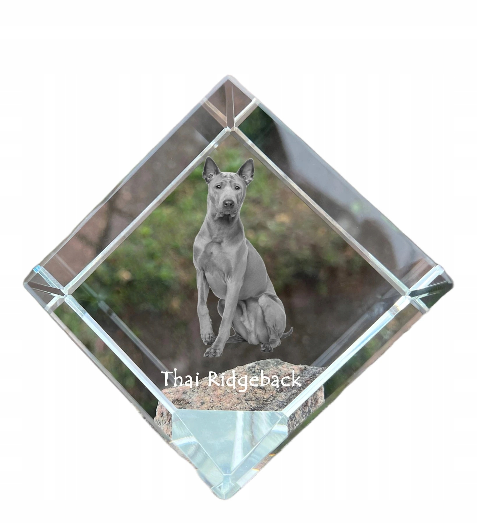 Thai Ridgeback krištáľová kocka s fotografiou psa, ozdoba na stôl