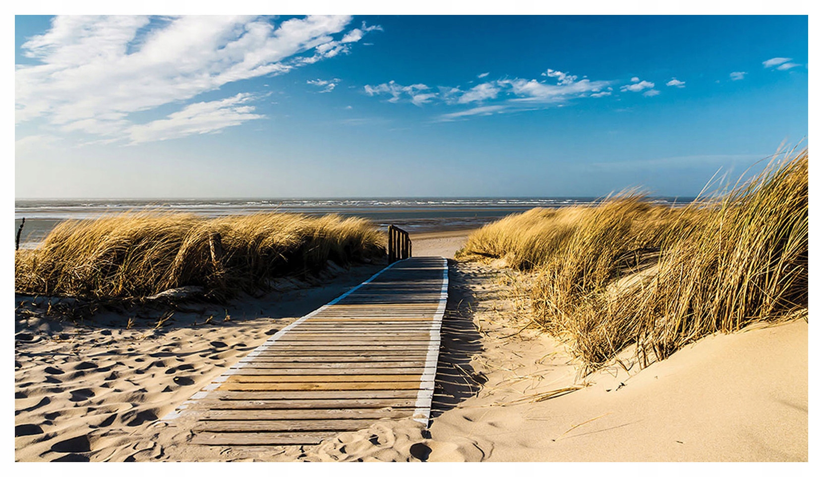 Fototapeta Dřevěná stezka pláž moře vinylová 368x254 lepidlo