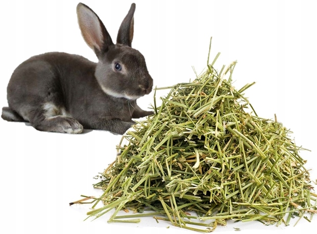 Dobré čerstvé seno pokos pro králíka krmivo pro králíčky 10kg ekologické