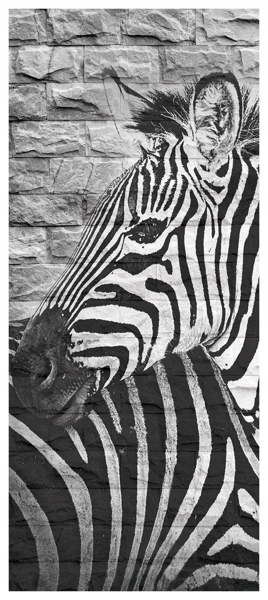 Fototapeta Zebra na cihlové zdi černobílá cihla 91x211 lepidlo
