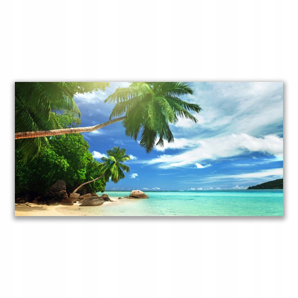 

Obraz akrylowy 120x60 Palma Plaża Morze Krajobraz