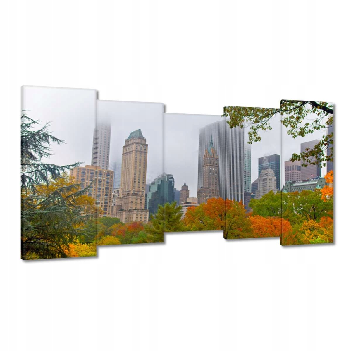 Obrazy 150x80 Central Park New York Usa